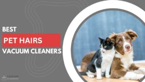 The Top Vacuums for Effectively Cleaning Pet Hairs in 2023